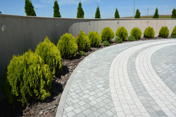 Best Driveway Pavers Contractor  in Rocky Mount, NC