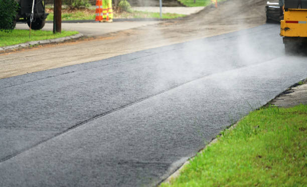 Best Custom Driveway Pavers  in Rocky Mount, NC